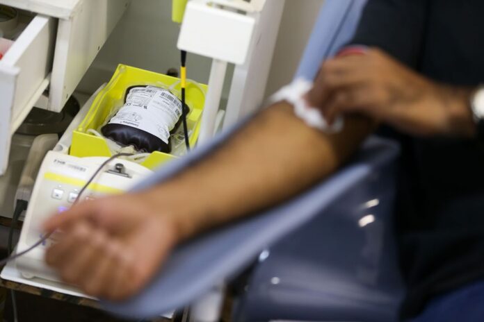 Lei assegura atendimento preferencial a doadores de sangue e medula na Paraíba