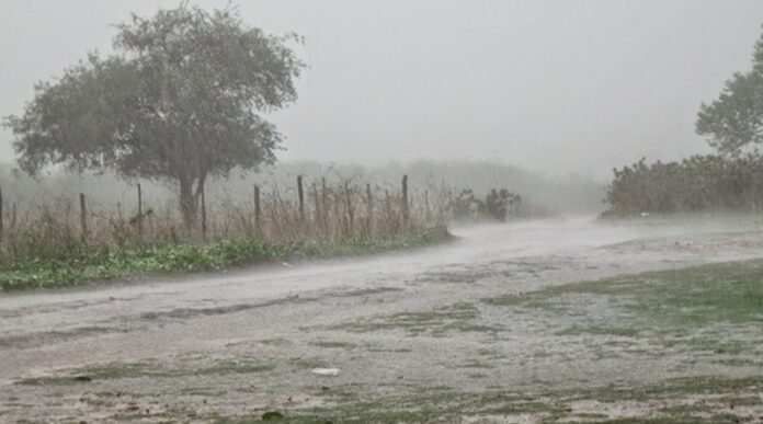 Nordeste terá domingo (21) de chuvas intensas na maioria dos estados