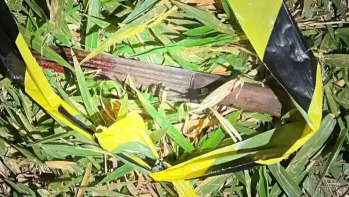 Paraibano de São José do Sabugi é morto com golpe de faca no Mato Grosso do Sul